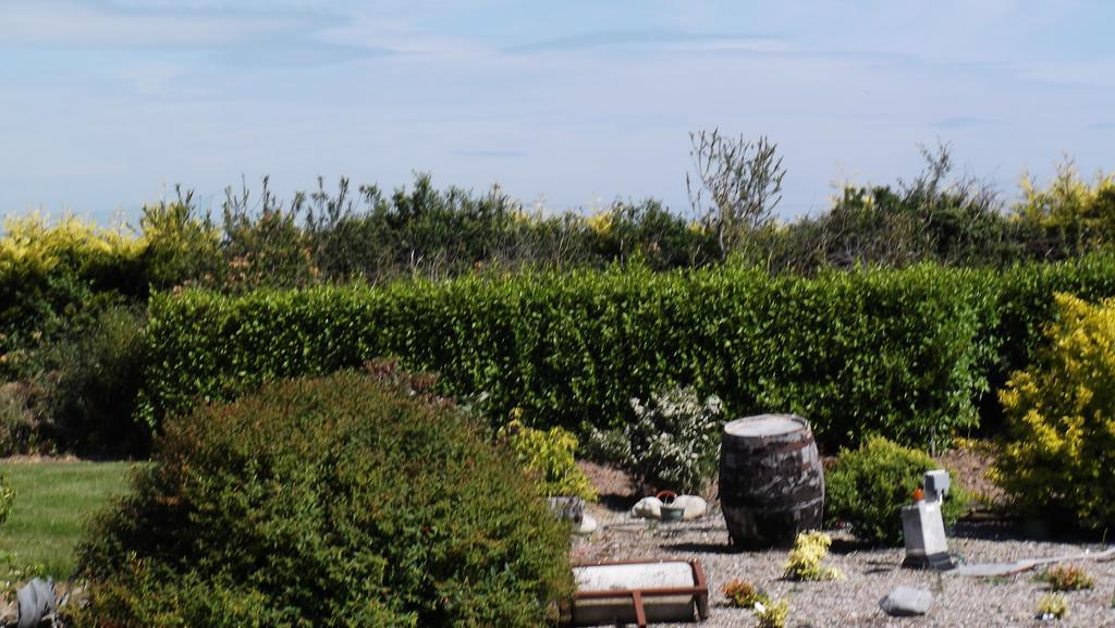 Ashley Lodge Bed & Breakfast Rosslare Harbour Екстер'єр фото